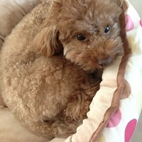 Kirby.2013.03.12-014.JPG