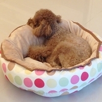 Kirby.2013.03.14-001.JPG