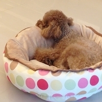 Kirby.2013.03.14-002.JPG