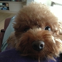 Kirby.2013.03.18-001.JPG