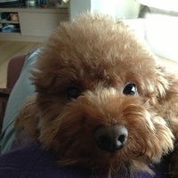 Kirby.2013.03.18-002.JPG