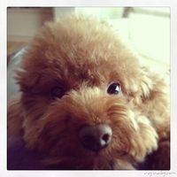 Kirby.2013.03.18-003.JPG