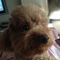 Kirby.2013.03.24-001.JPG