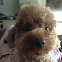 Kirby.2013.03.24-002.JPG