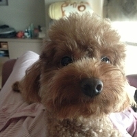 Kirby.2013.03.24-003.JPG