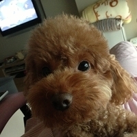 Kirby.2013.03.24-004.JPG
