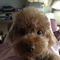 Kirby.2013.03.24-005.JPG