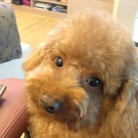 Kirby.2013.03.26-001.JPG
