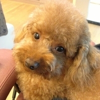 Kirby.2013.03.26-002.JPG