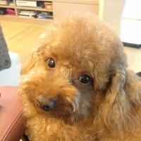 Kirby.2013.03.26-003.JPG