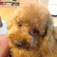 Kirby.2013.03.26-004.JPG