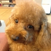 Kirby.2013.03.26-005.JPG