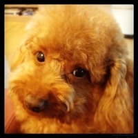 Kirby.2013.03.26-006.JPG