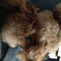 Kirby.2013.03.26-007.JPG
