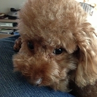 Kirby.2013.03.26-008.JPG
