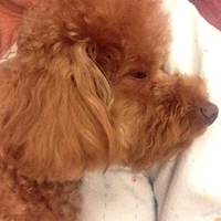 Kirby.2013.03.27-002.JPG