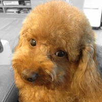 Kirby.2013.03.28-001.JPG