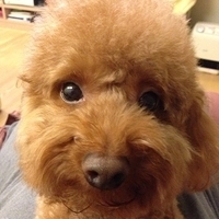 Kirby.2013.03.30-001.JPG