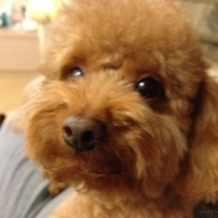 Kirby.2013.03.30-002.JPG