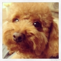 Kirby.2013.03.30-003.JPG