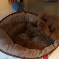 Kirby.2014.03.16-001.JPG