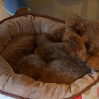 Kirby.2014.03.16-002.JPG
