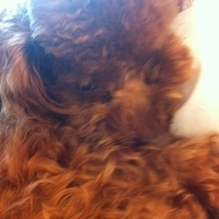 Kirby.2011.05.02-002.JPG