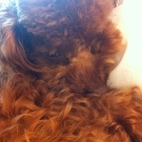 Kirby.2011.05.02-003.JPG