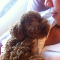 Kirby.2011.05.02-004.JPG