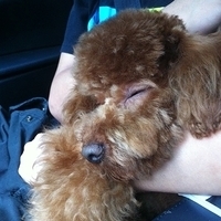 Kirby.2011.05.14-001.JPG