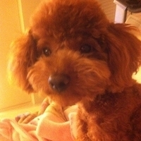 Kirby.2011.05.17-001.JPG
