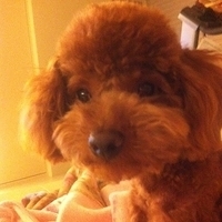 Kirby.2011.05.17-002.JPG