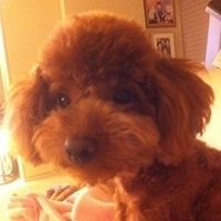 Kirby.2011.05.17-003.JPG