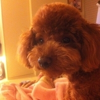 Kirby.2011.05.17-004.JPG