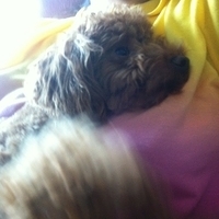 Kirby.2011.05.20-001.JPG