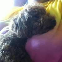 Kirby.2011.05.20-002.JPG