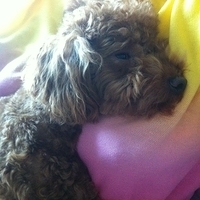 Kirby.2011.05.20-003.JPG
