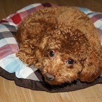 Kirby.2011.05.23-002.JPG