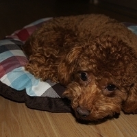 Kirby.2011.05.23-004.JPG