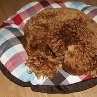 Kirby.2011.05.23-005.JPG