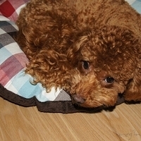 Kirby.2011.05.23-006.JPG