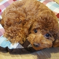 Kirby.2011.05.23-007.JPG