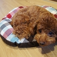 Kirby.2011.05.23-008.JPG
