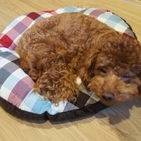 Kirby.2011.05.23-009.JPG