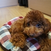 Kirby.2011.05.23-010.JPG