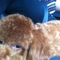 Kirby.2011.05.28-001.JPG