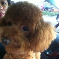 Kirby.2011.05.28-002.JPG