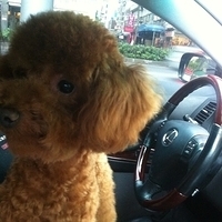 Kirby.2011.05.28-003.JPG