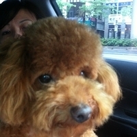 Kirby.2011.05.28-004.JPG