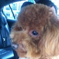 Kirby.2011.05.28-005.JPG